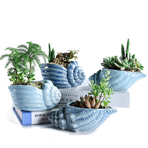 Sun-E 5.5 Inch Blue Conch Ocean Series Ceramic Base Serial Set Succulent Plant Pot Cactus Plant Pot Flower Pot Container Planter with Drainage Hole Idea 4 in Set