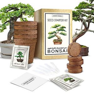 Bonsai Tree Starter Kit - Indoor and Outdoor Beginner Seed Kit, Soil Mix, Biodegradable Planter Pots, Plant Markers, Growing Guide - Grows 5 Unique Trees