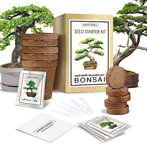 Bonsai Tree Starter Kit - Indoor and Outdoor Beginner Seed Kit, Soil Mix, Biodegradable Planter Pots, Plant Markers, Growing Guide - Grows 5 Unique Trees