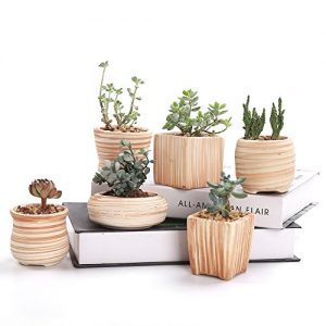 SUN-E 6 in Set 3 Inch Ceramic Wooden Pattern Succulent Plant Pot Cactus Plant Pot Flower Pot Container Planter Gift Idea