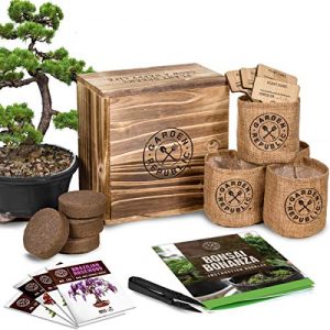 Bonsai Tree Seed Starter Kit - Mini Bonsai Plant Growing Kit, 4 Types of Seeds, Potting Soil, Pots, Pruning Shears Scissor Tool, Plant Markers, Wood Gift Box, Indoor Garden Gardening Gifts Idea