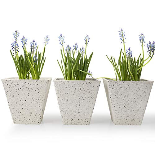 Flower Plant Pots Indoor Planters - 5.5 Inch Speckled White Garden Pots, Square Tapered Plant Container, Set of 3