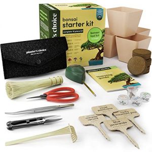 Bonsai Starter Kit + Tool Kit - The Complete Kit to Easily Grow 4 Bonsai Trees from Seed with Comprehensive Guide & Bamboo Plant Markers - Unique Gift Idea
