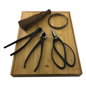 Bonsai Tool Kit by Tinyroots - 5 Piece Set Includes: Traditional Butterfly Shaped Bonsai Shears, Concave Cutter, Wire Cutter, Genuine Hemp Broom, 2mm Bonsai Wire & Bamboo Storage Case + Bonsai Tools