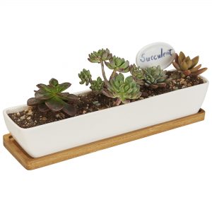 FLOWERPLUS Planter Pot Indoor, 11 Inch Long Rectangle White Ceramic Small Succulent Cactus Flower Plant Container with Bamboo Base and Little Plants Sign for Indoors Outdoor Home Garden Kitchen Decor