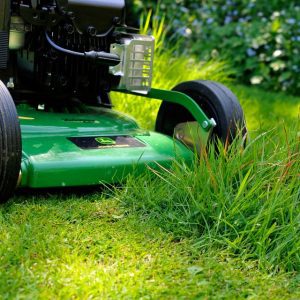 Gardening and Lawn Care