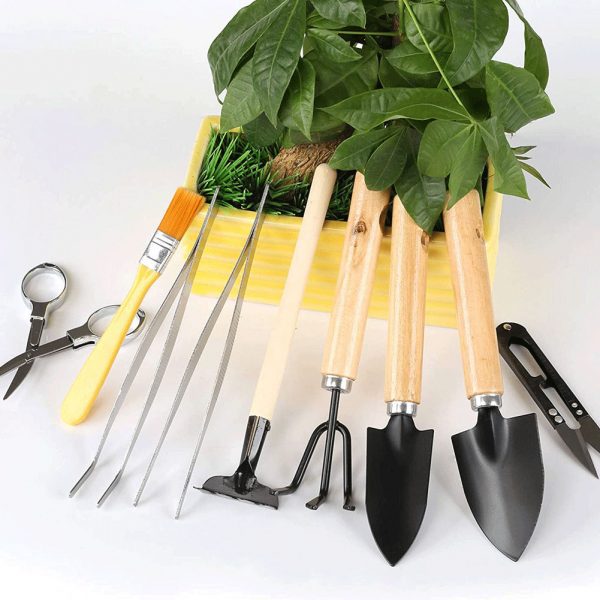 Bonsai Care Set Garden Hand Tools Mini